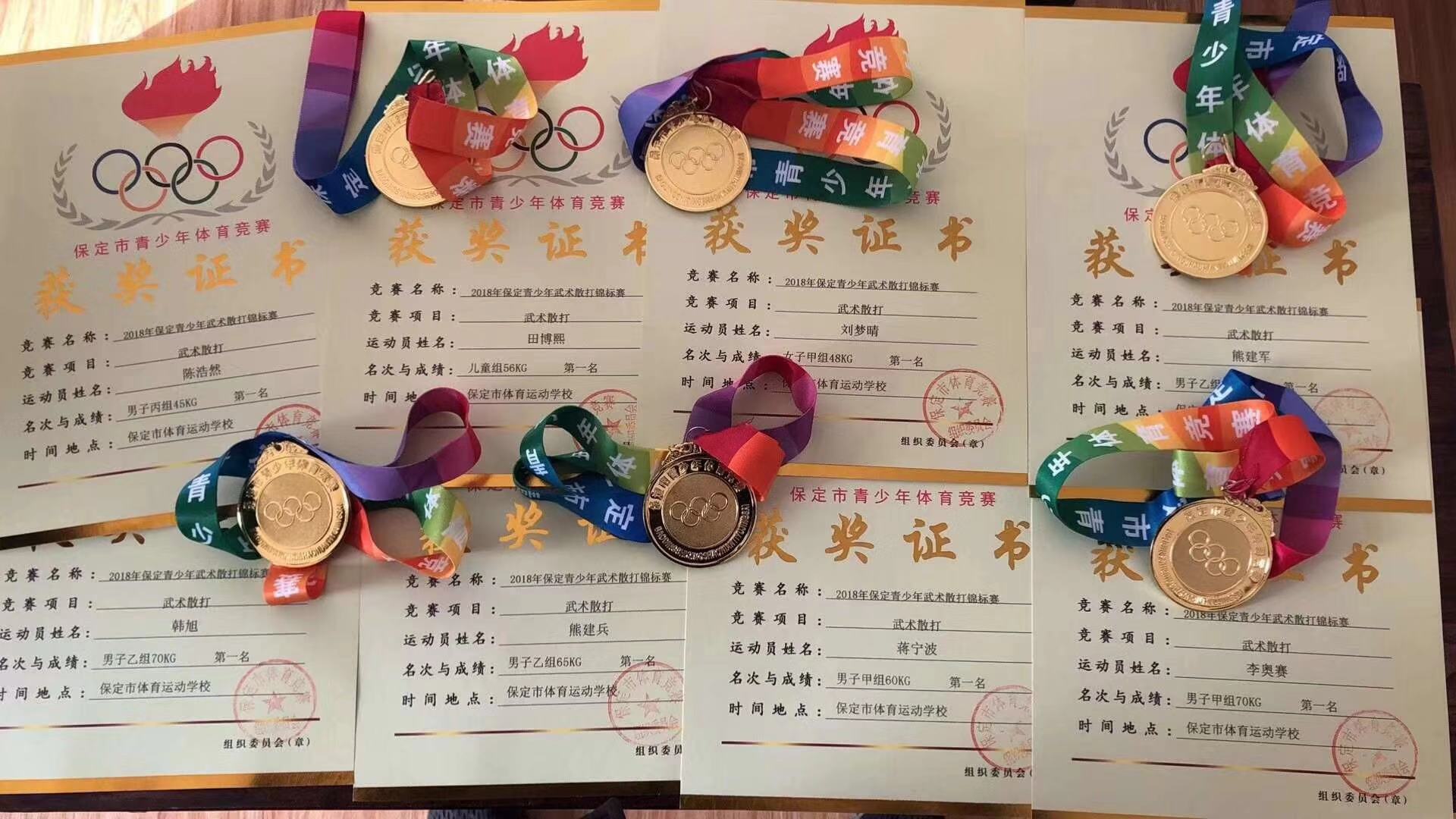 团队荣誉.jpg