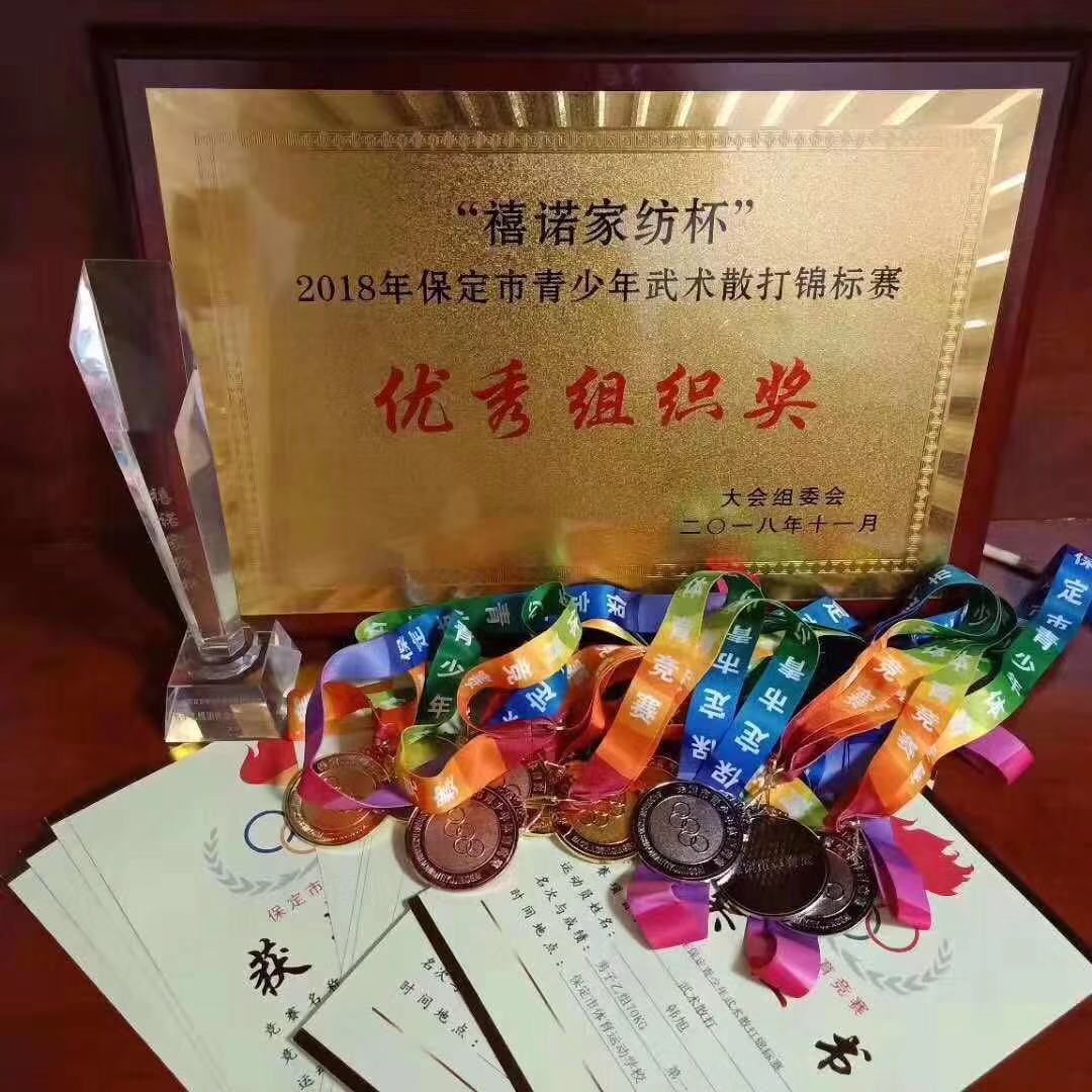 宇辰无数个奖杯.jpg